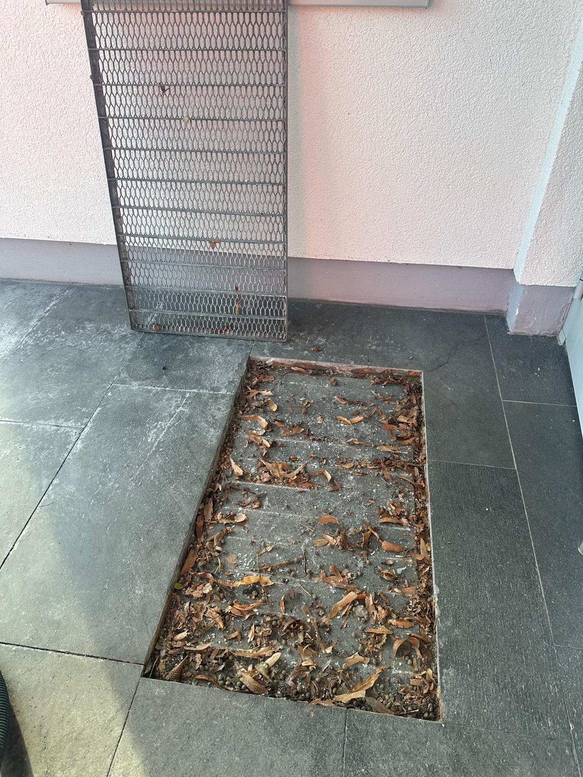 SIMA Gebäudereinigung Projektfoto 18